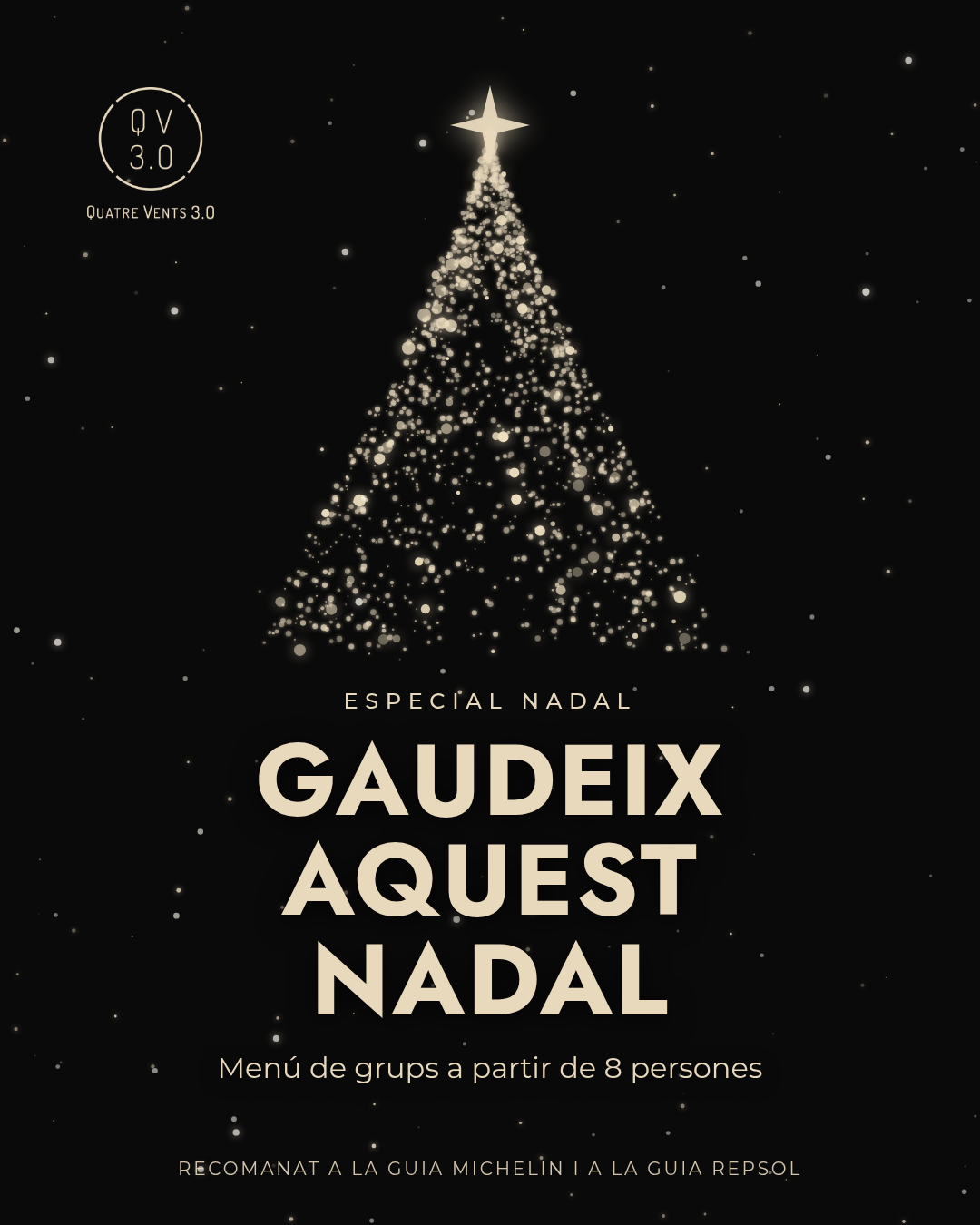 Menú especial de Navidad de Quatre Vents 3.0
